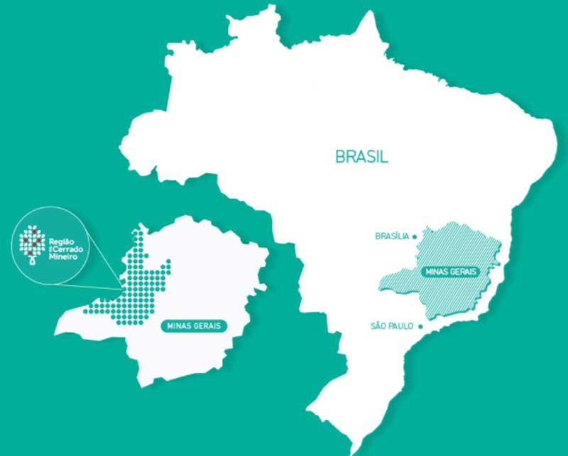 Brazil država sa janvećom proizvodnjom kafe na svetu